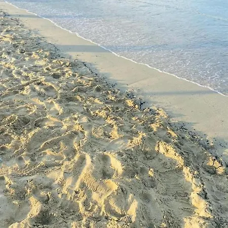 Letizia's House Apartamento